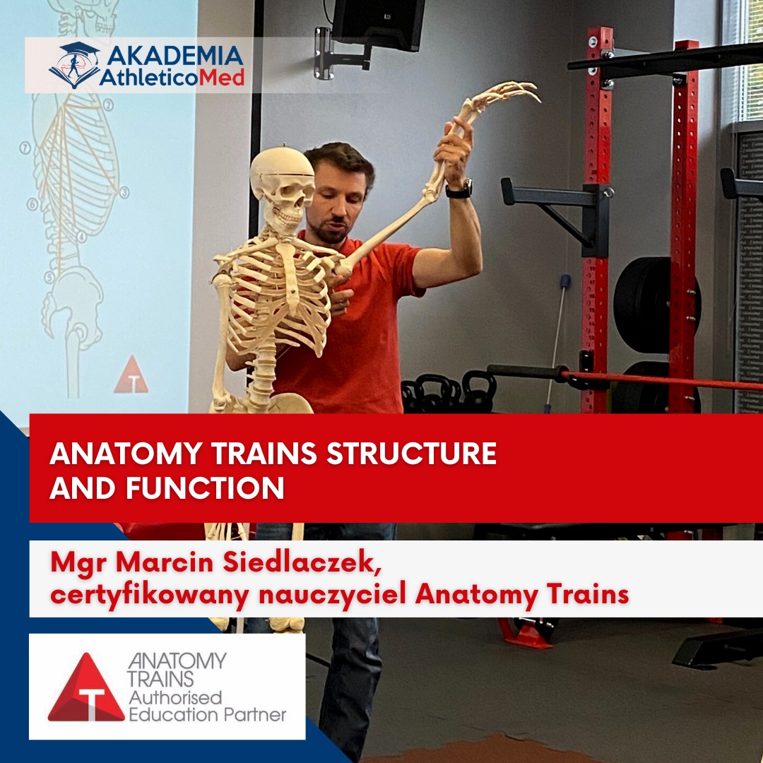 szkolenia dla fizjoterapeutów Anatomy Trains Structure and Function