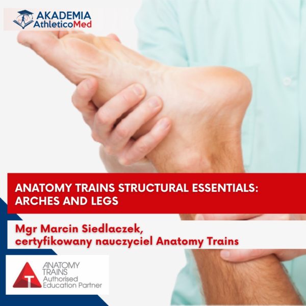 Anatomy Trains Structural Essentials Arches and Legs