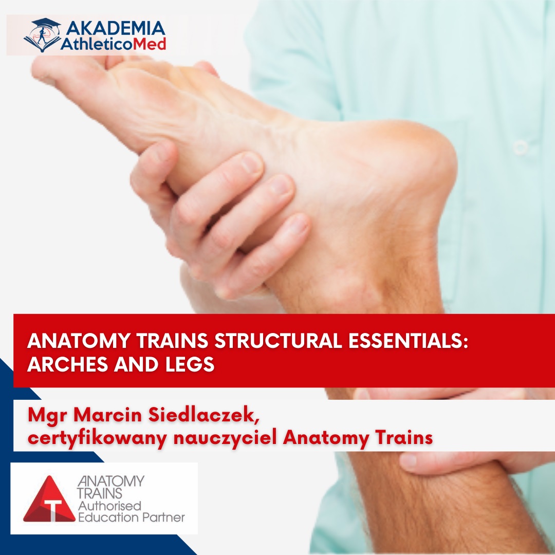 szkolenia dla fizjoterapeutów Anatomy Trains Structural Essentials Arches and Legs