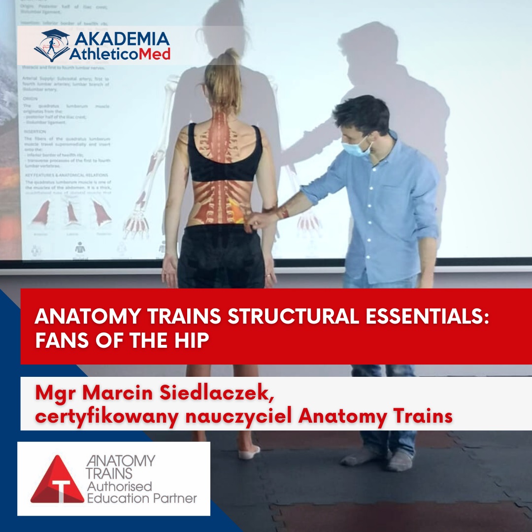 szkolenie dla fizjoterapeutów Anatomy Trains Structural Essentials Fans of the Hip