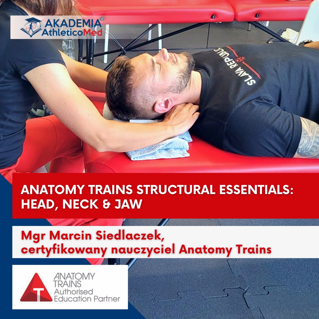 szkolenia dla fizjoterapeutów Anatomy Trains Structural Essentials Head, Neck & Jaw