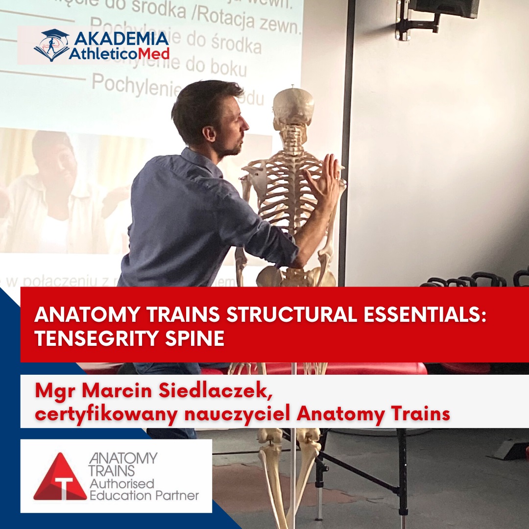 szkolenia dla fizjoterapeutów Anatomy Trains Structural Essentials Tensegrity spine