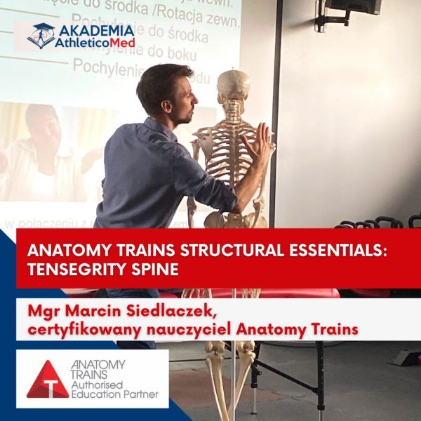 Anatomy Trains Structural Essentials Tensegrity spine